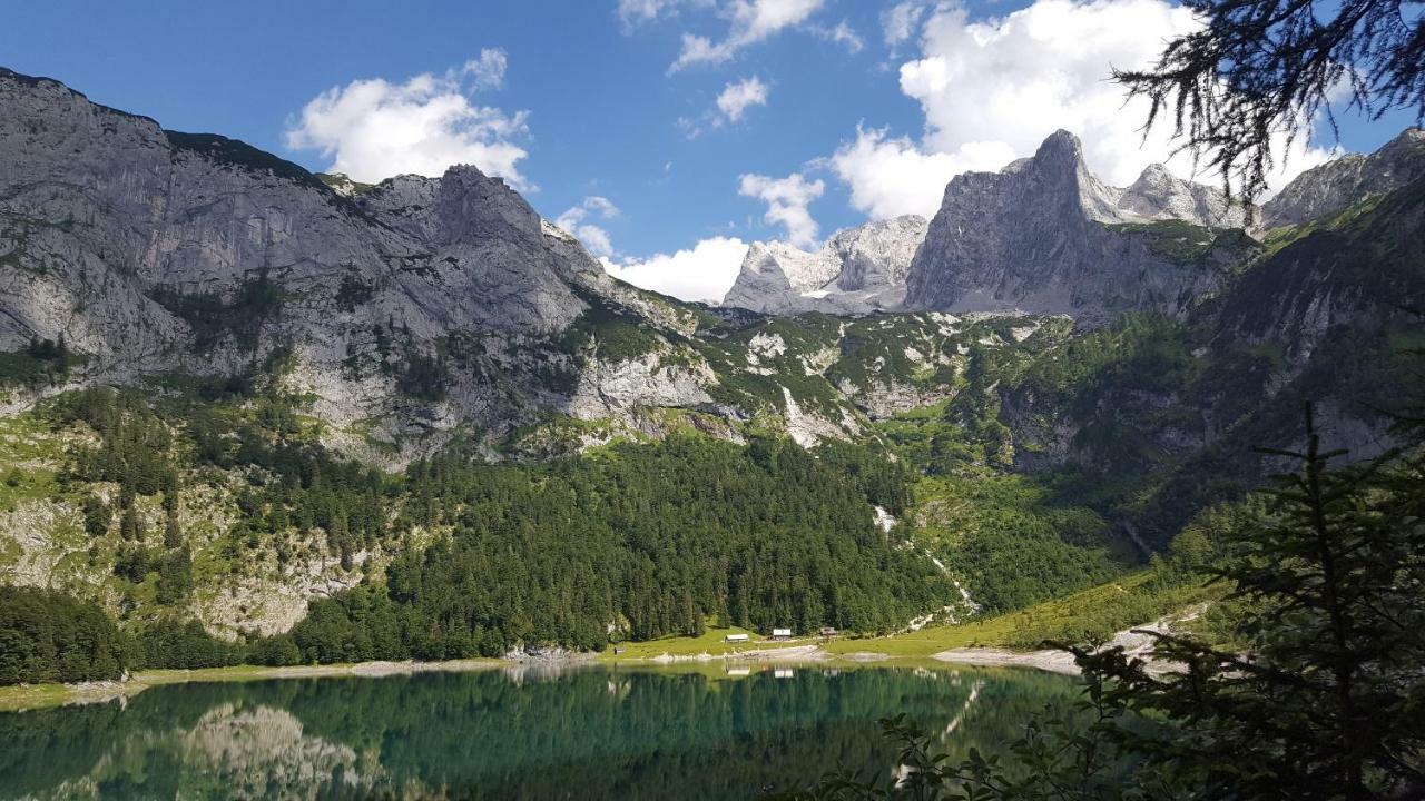 Pension Edelweiss Appartement Wimmer Gosau Eksteriør bilde