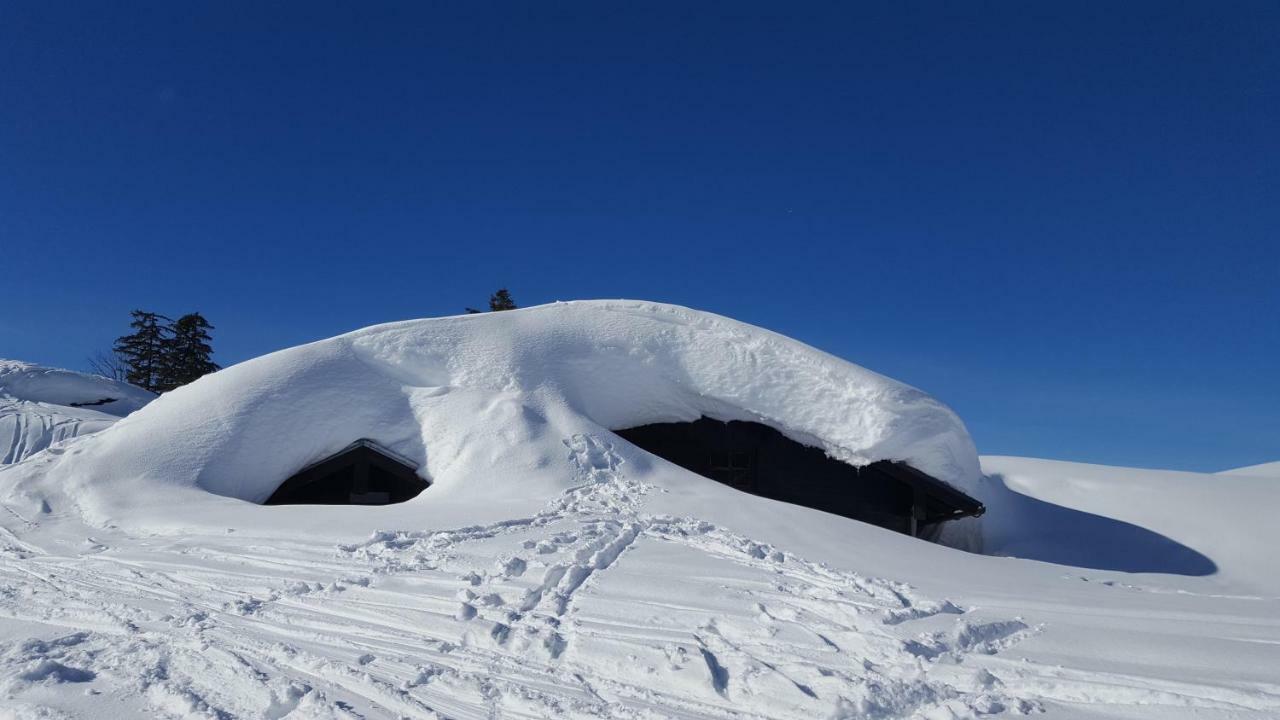 Pension Edelweiss Appartement Wimmer Gosau Eksteriør bilde