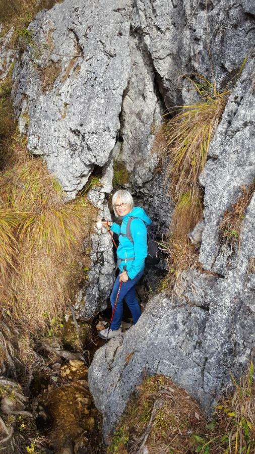 Pension Edelweiss Appartement Wimmer Gosau Eksteriør bilde