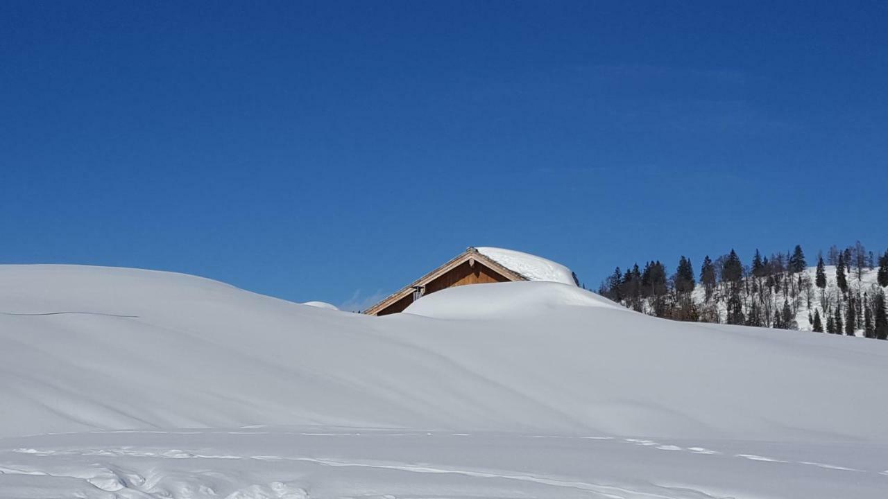 Pension Edelweiss Appartement Wimmer Gosau Eksteriør bilde