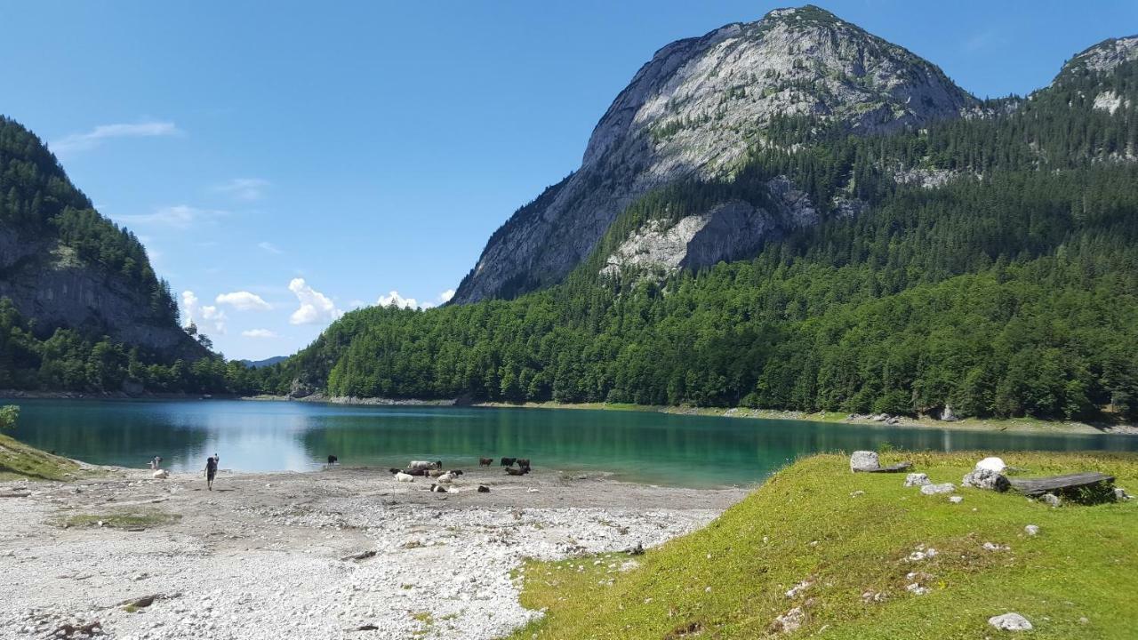 Pension Edelweiss Appartement Wimmer Gosau Eksteriør bilde