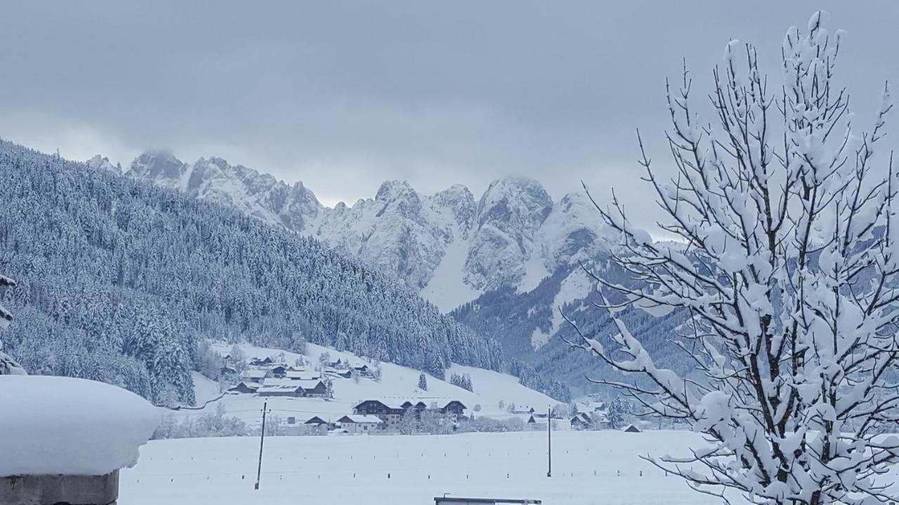 Pension Edelweiss Appartement Wimmer Gosau Eksteriør bilde